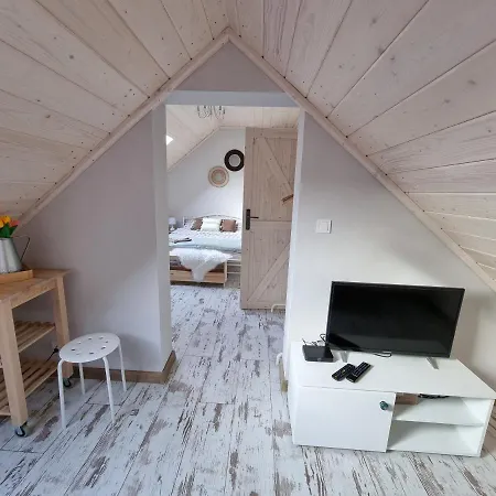 Apartament Domek W Gorach Gorce Pieniny Tylmanowa Esterno foto