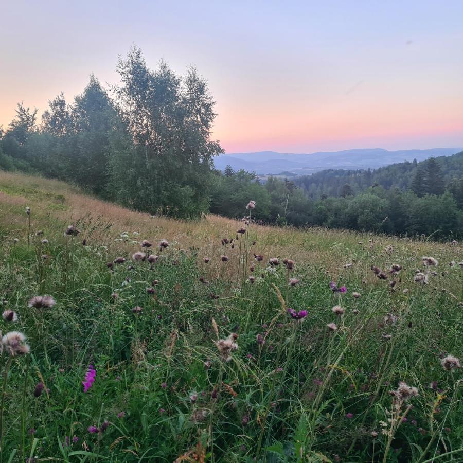 W Gorach Gorce Pieniny Apartment Tylmanowa